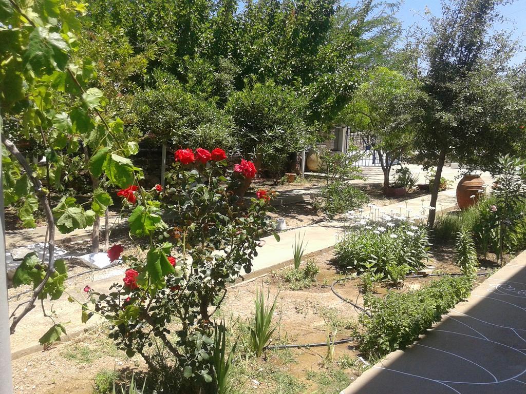 Ferienwohnung Aegean Harmony Platis Gialos  Exterior foto